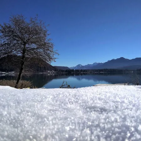 公寓 Ossiachersee 奥西阿赫湖畔施泰因多夫